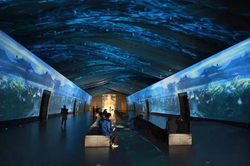 科技賦能，連接古今 探索博物館發(fā)展的新趨勢(shì)